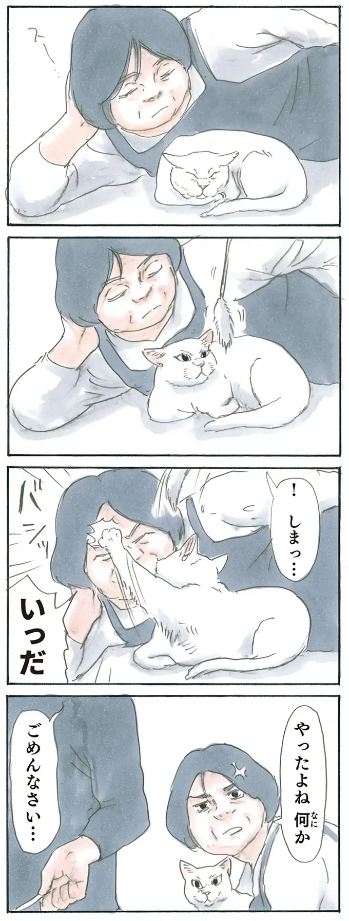 『拾い猫のモチャ1～8』（109）