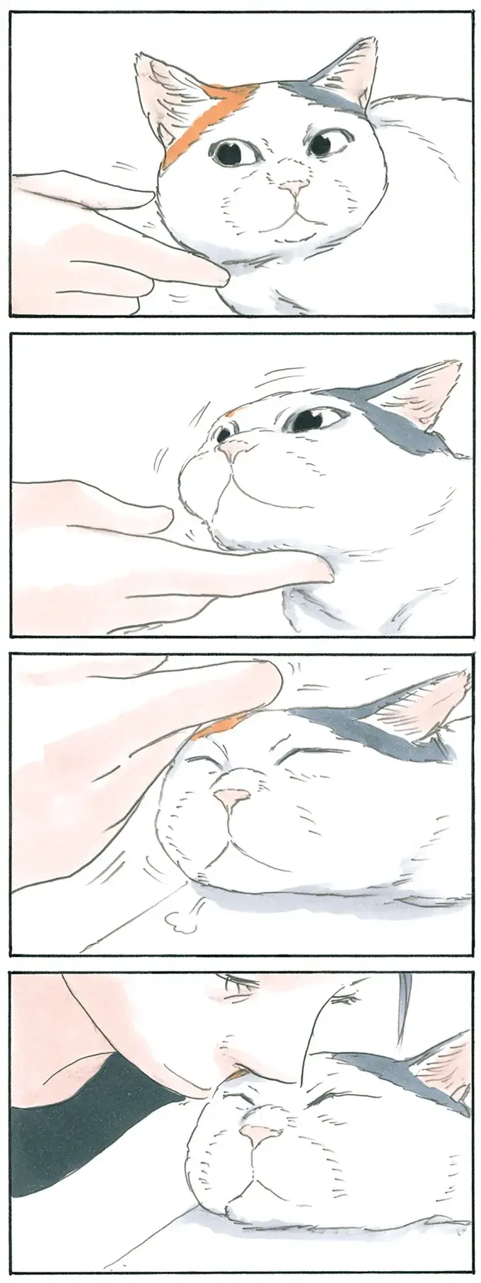 『拾い猫のモチャ1～8』（115）