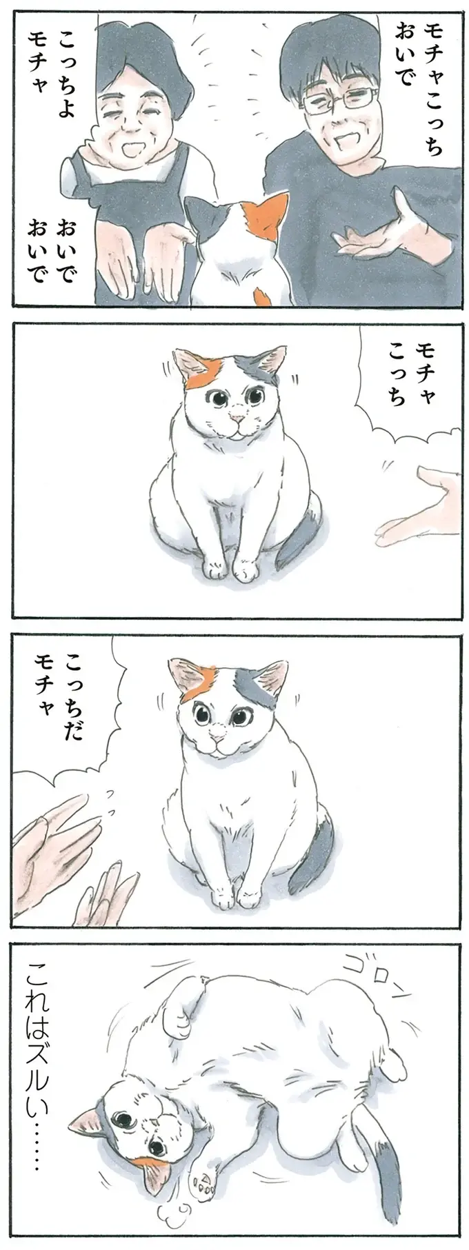 『拾い猫のモチャ1～8』（116）