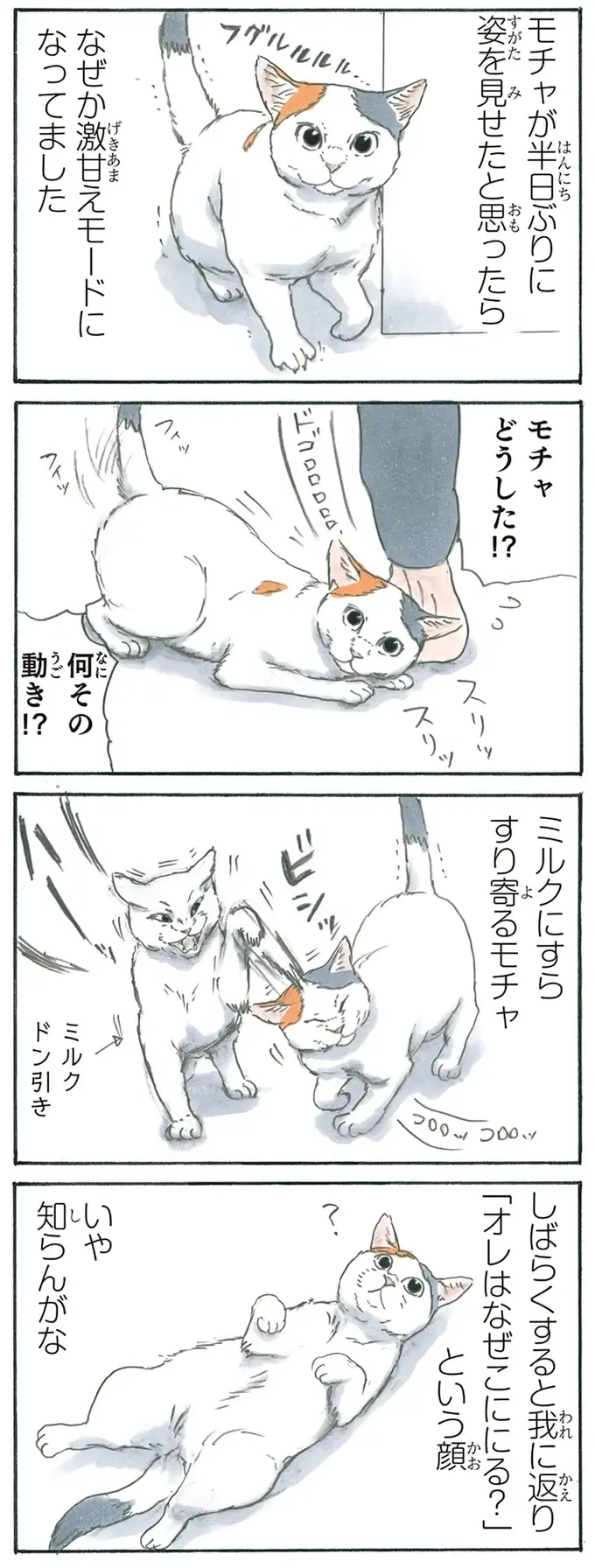 『拾い猫のモチャ1～8』（118）