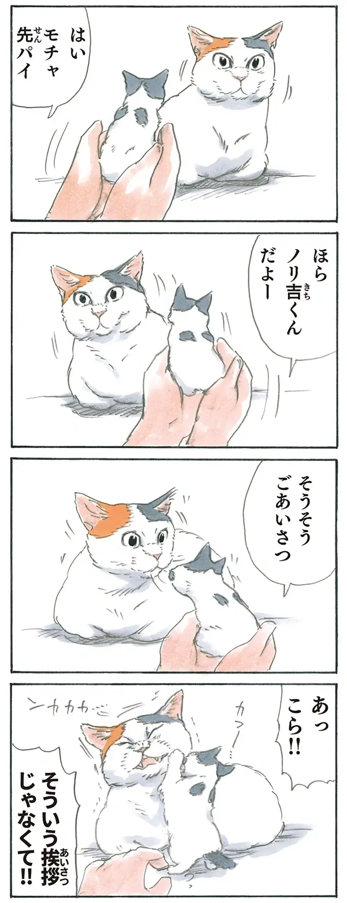 『拾い猫のモチャ1～8』（123）