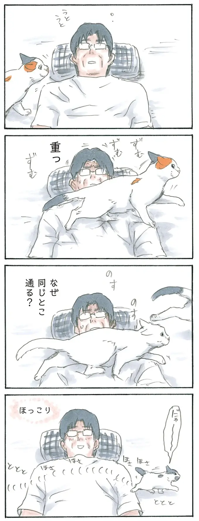『拾い猫のモチャ1～8』（127）