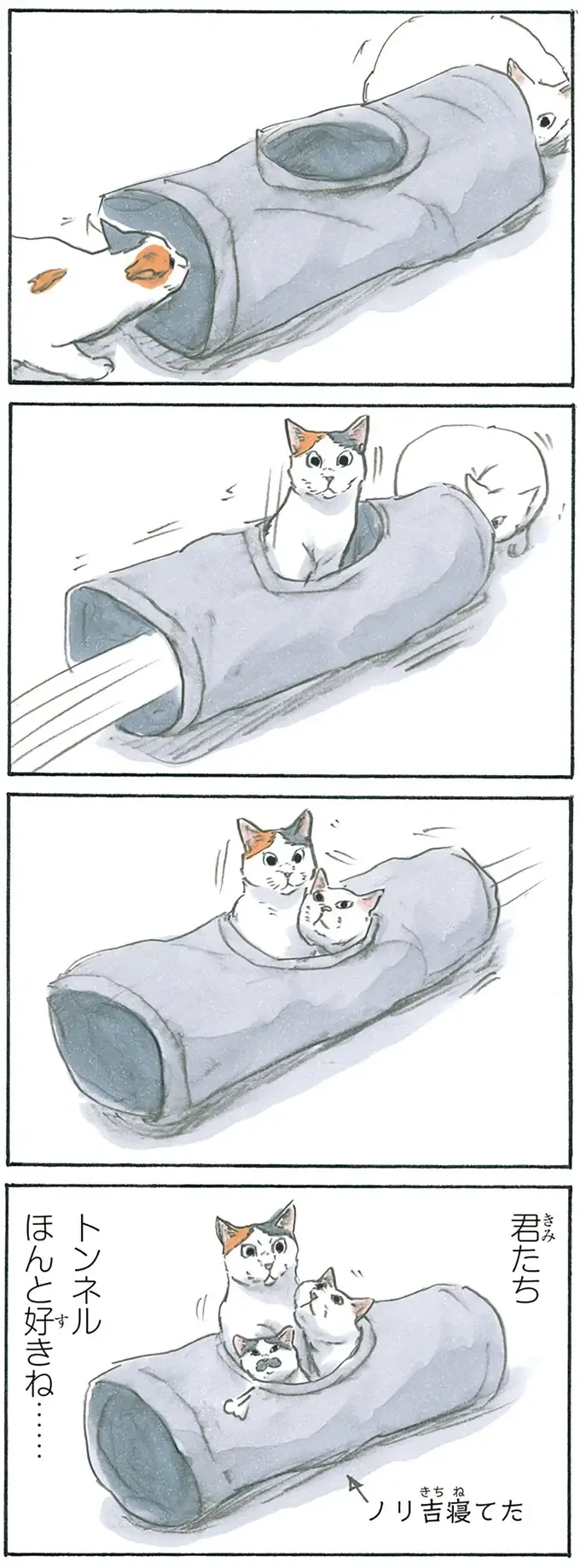 『拾い猫のモチャ1～8』（130）