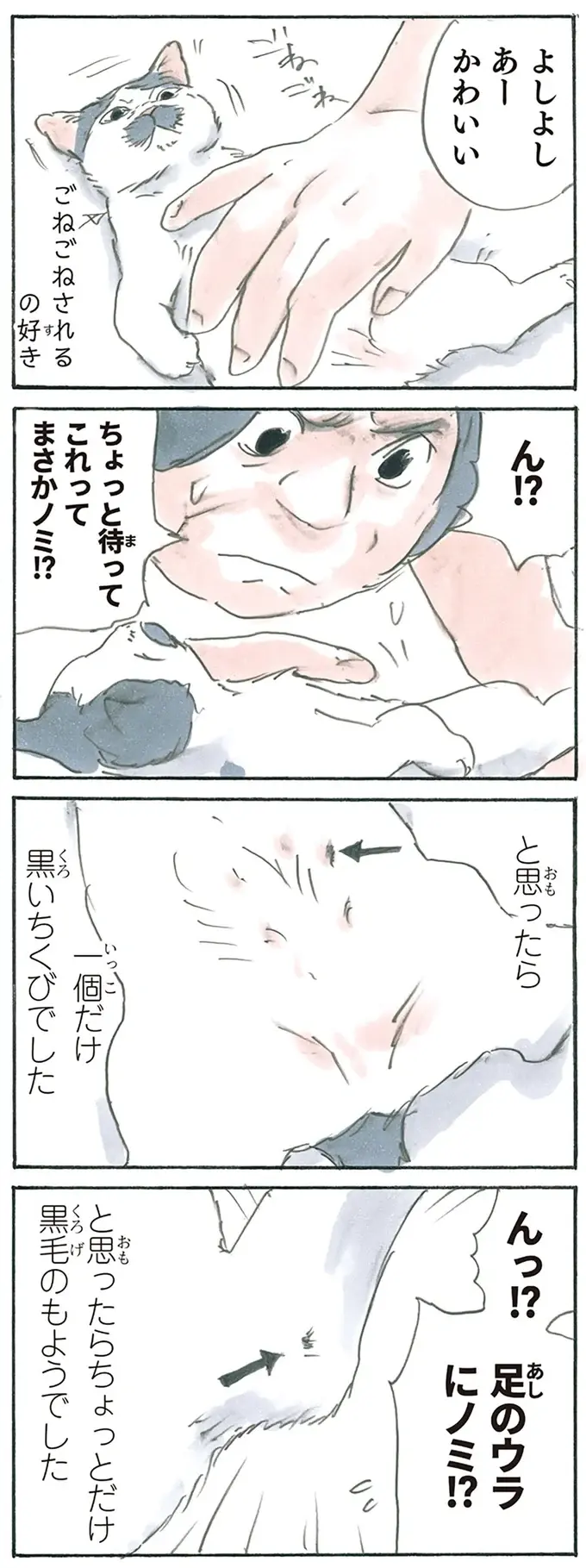 『拾い猫のモチャ1～8』（142）