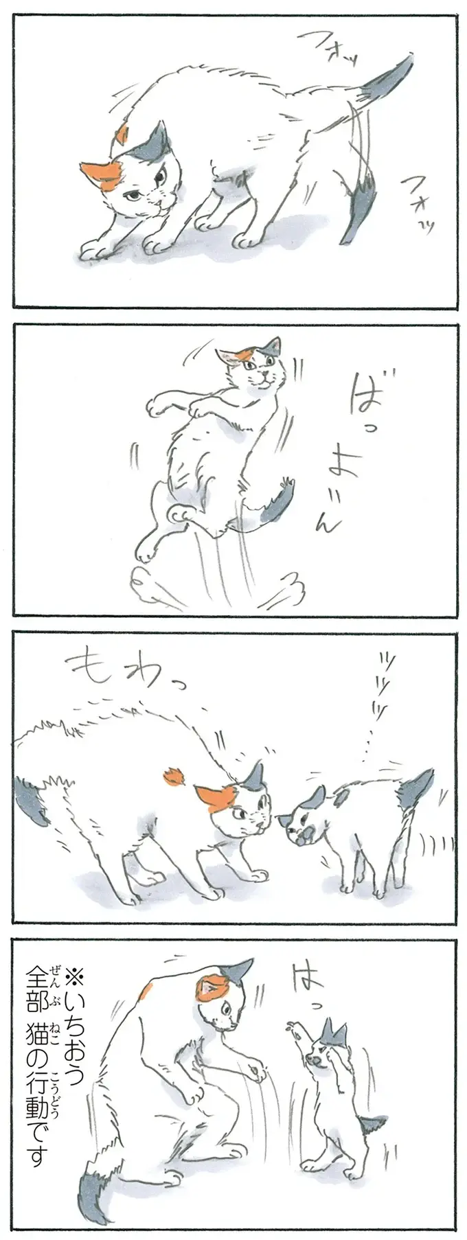 『拾い猫のモチャ1～8』（143）