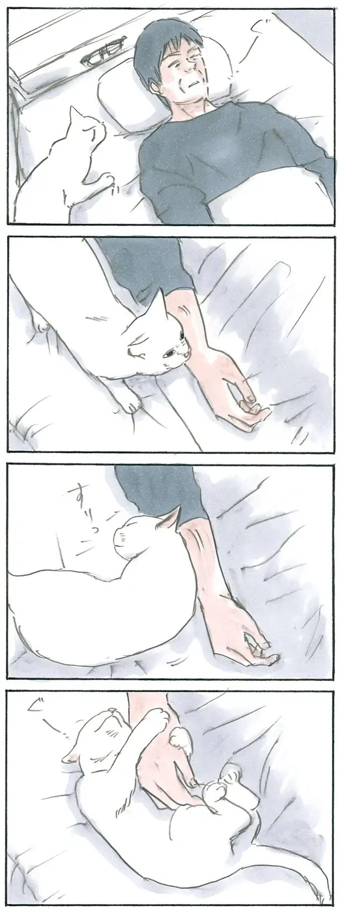 『拾い猫のモチャ1～8』（151）