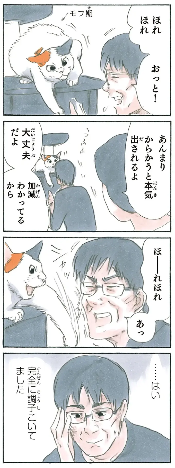 『拾い猫のモチャ1～8』（152）