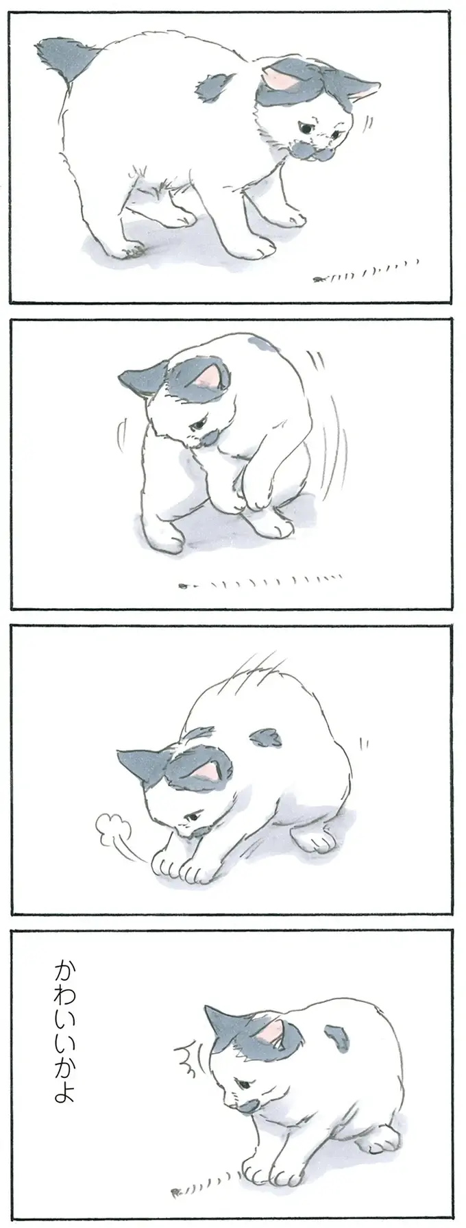 『拾い猫のモチャ1～8』（153）