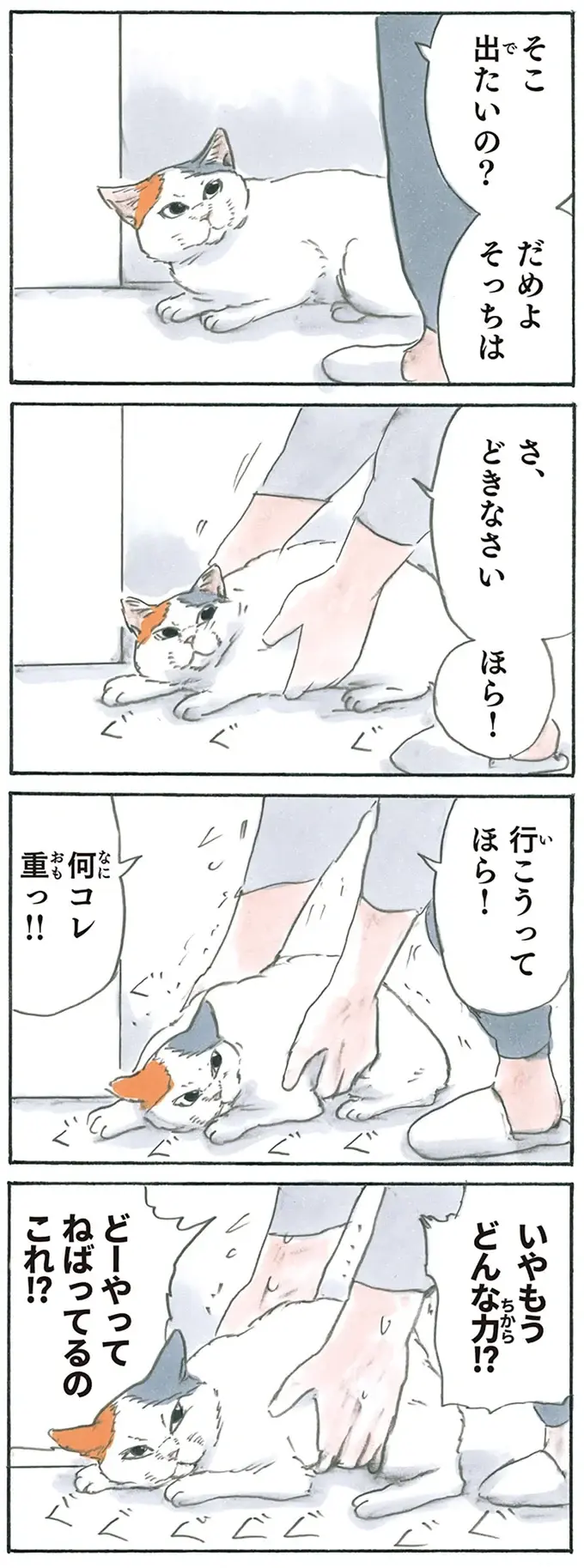 『拾い猫のモチャ1～8』（155）