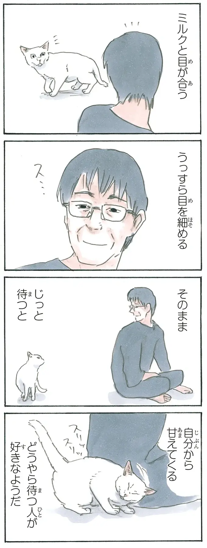 『拾い猫のモチャ1～8』（160）