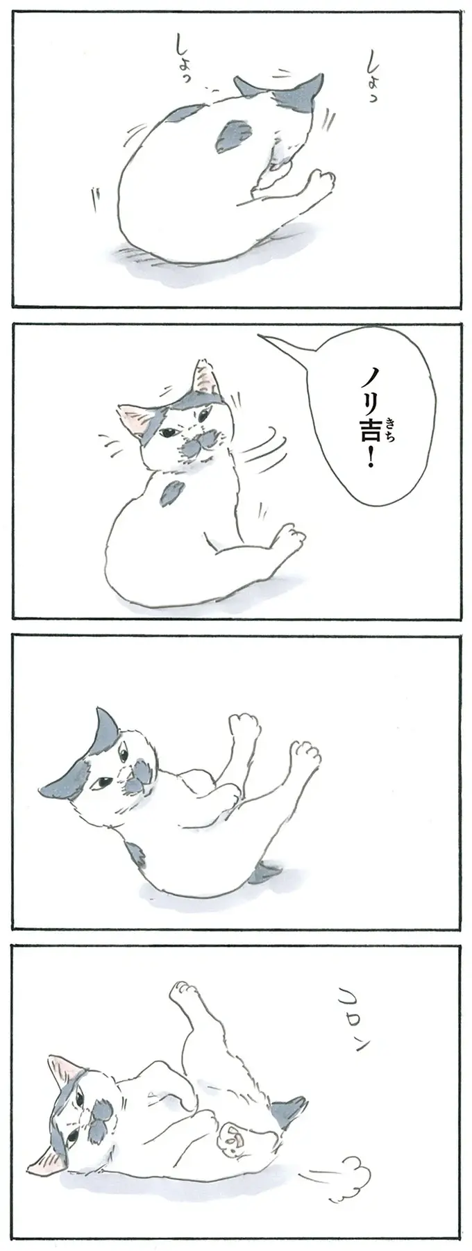 『拾い猫のモチャ1～8』（162）