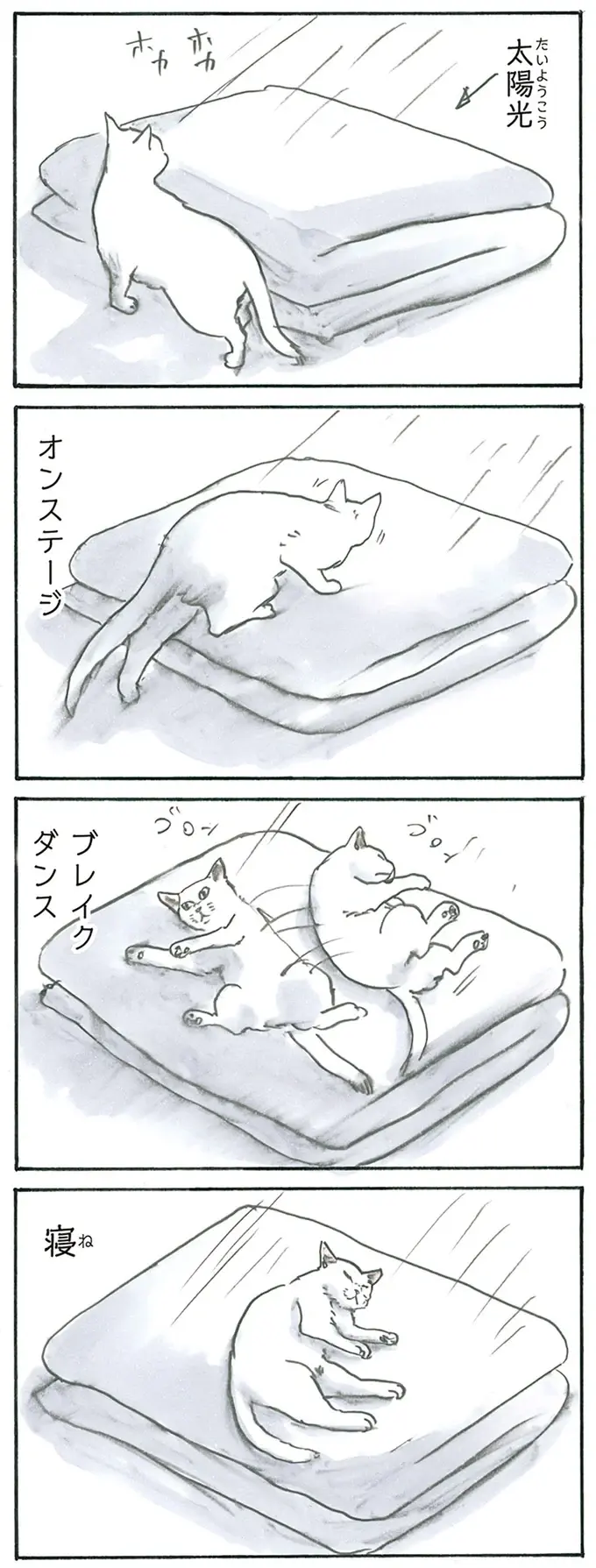 『拾い猫のモチャ1～8』（166）