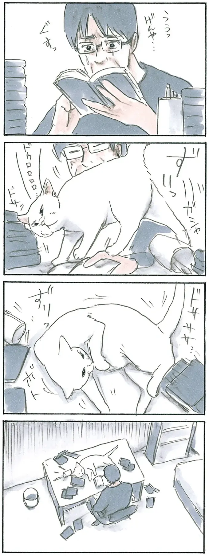 『拾い猫のモチャ1～8』（167）