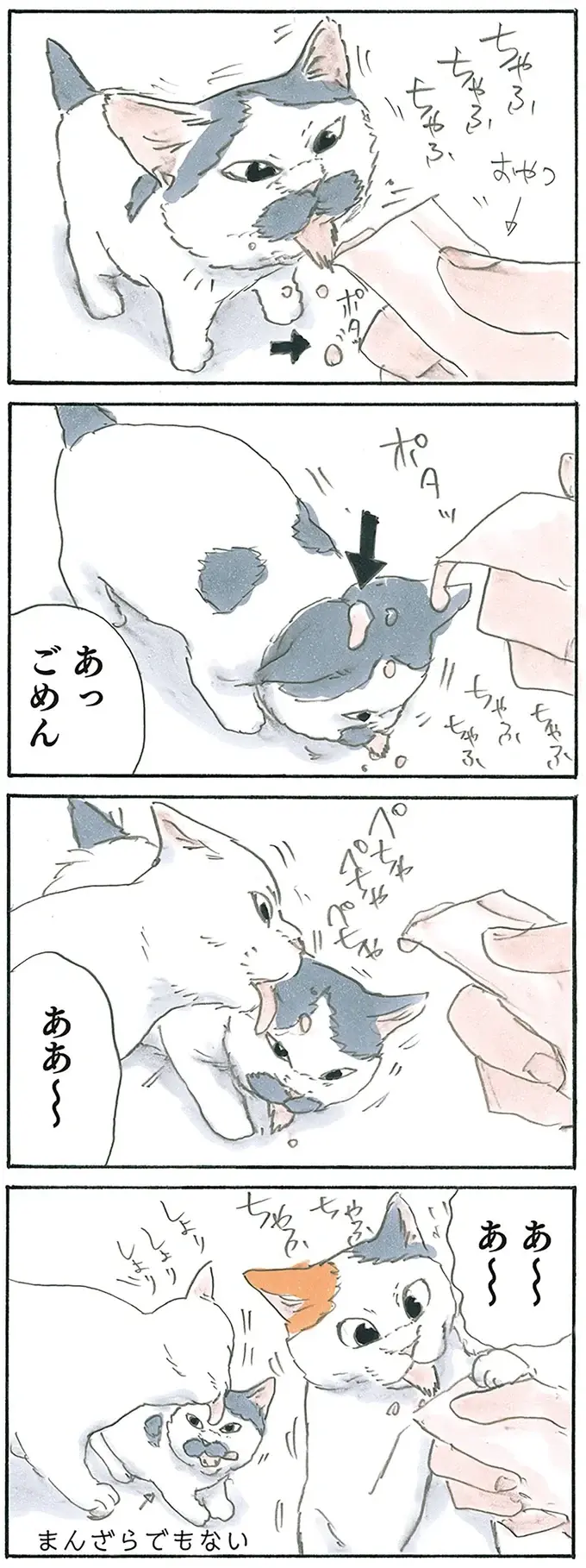 『拾い猫のモチャ1～8』（168）