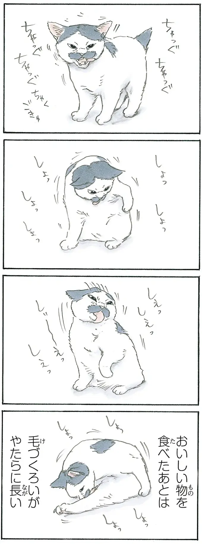 『拾い猫のモチャ1～8』（170）
