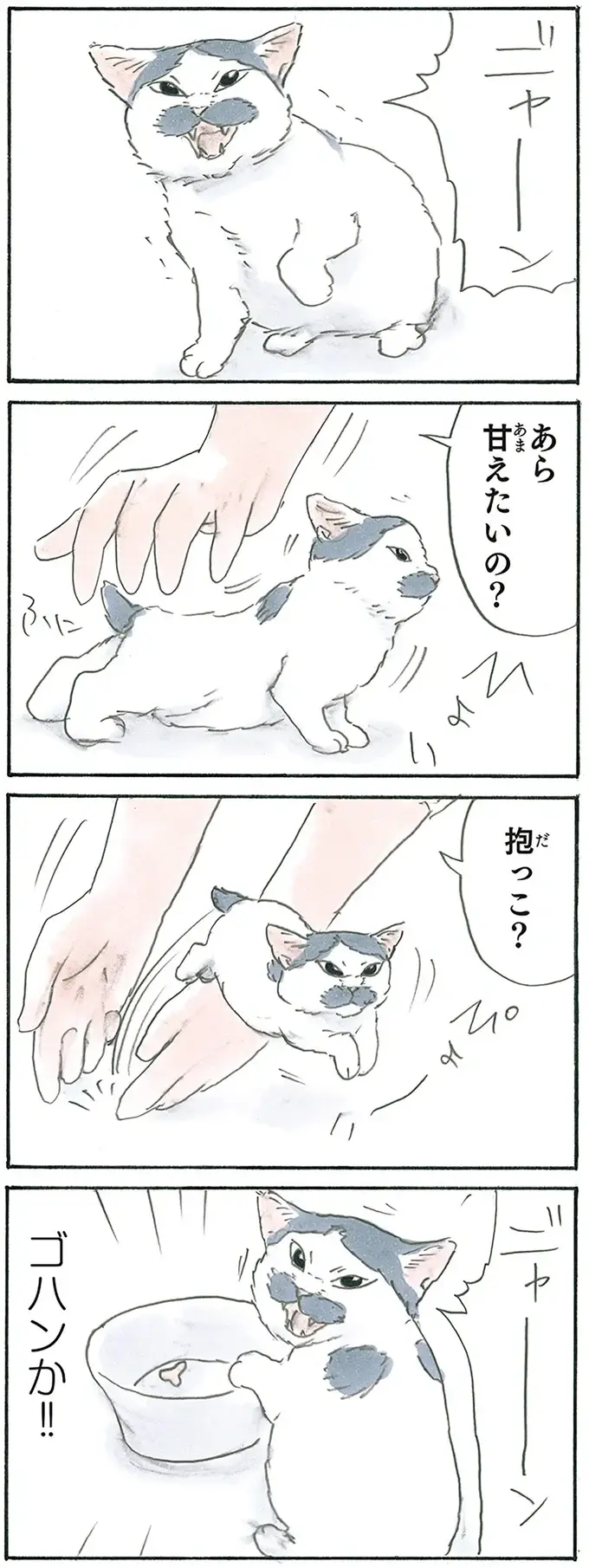 『拾い猫のモチャ1～8』（172）
