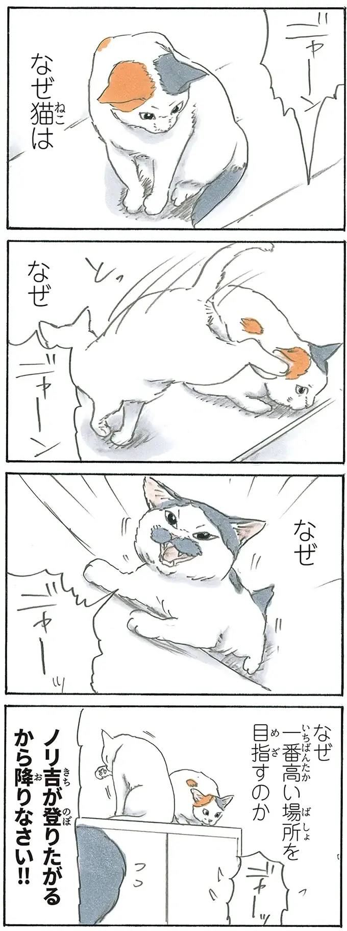 『拾い猫のモチャ1～8』（174）