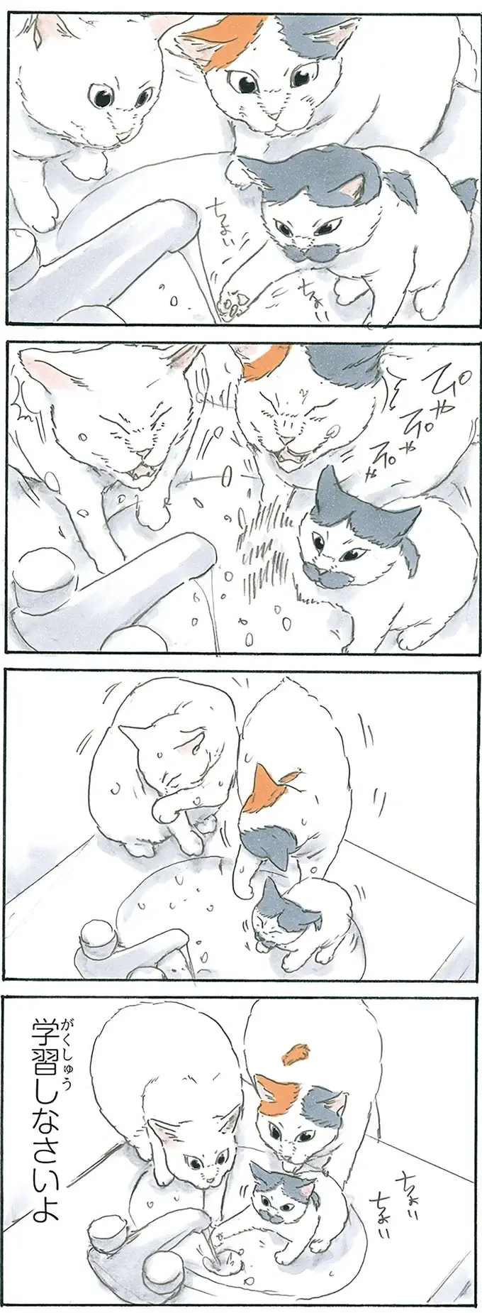 『拾い猫のモチャ1～8』（176）