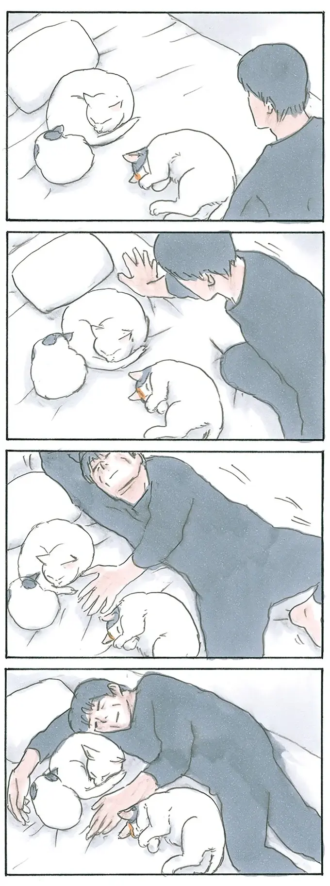『拾い猫のモチャ1～8』（182）