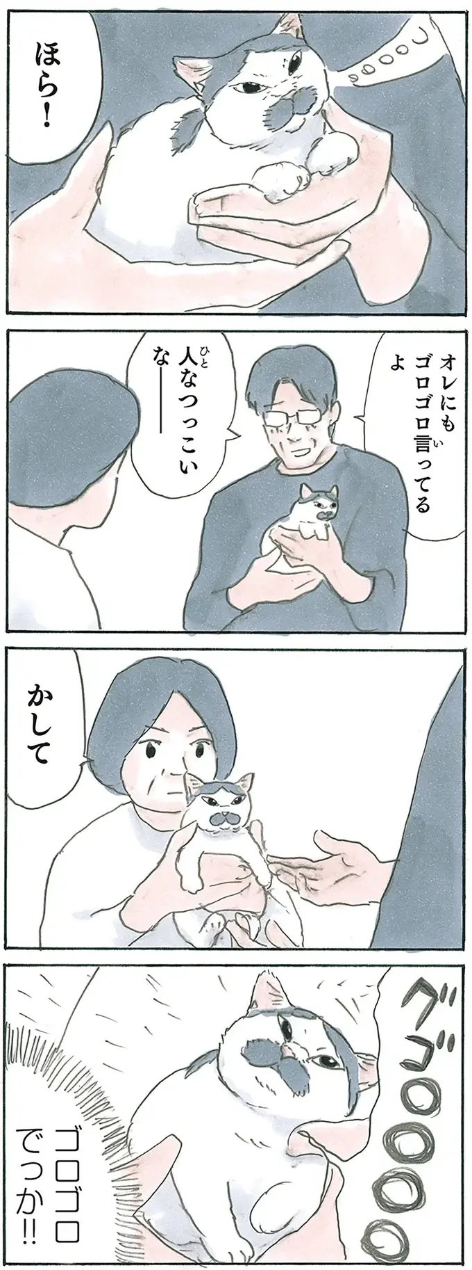 『拾い猫のモチャ1～8』（185）