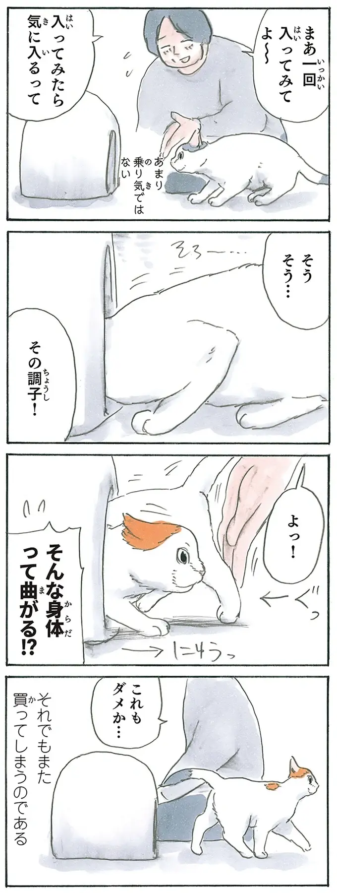 『拾い猫のモチャ1～8』（187）
