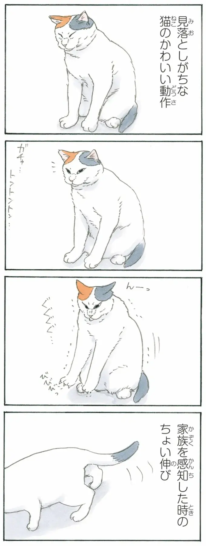 『拾い猫のモチャ1～8』（192）