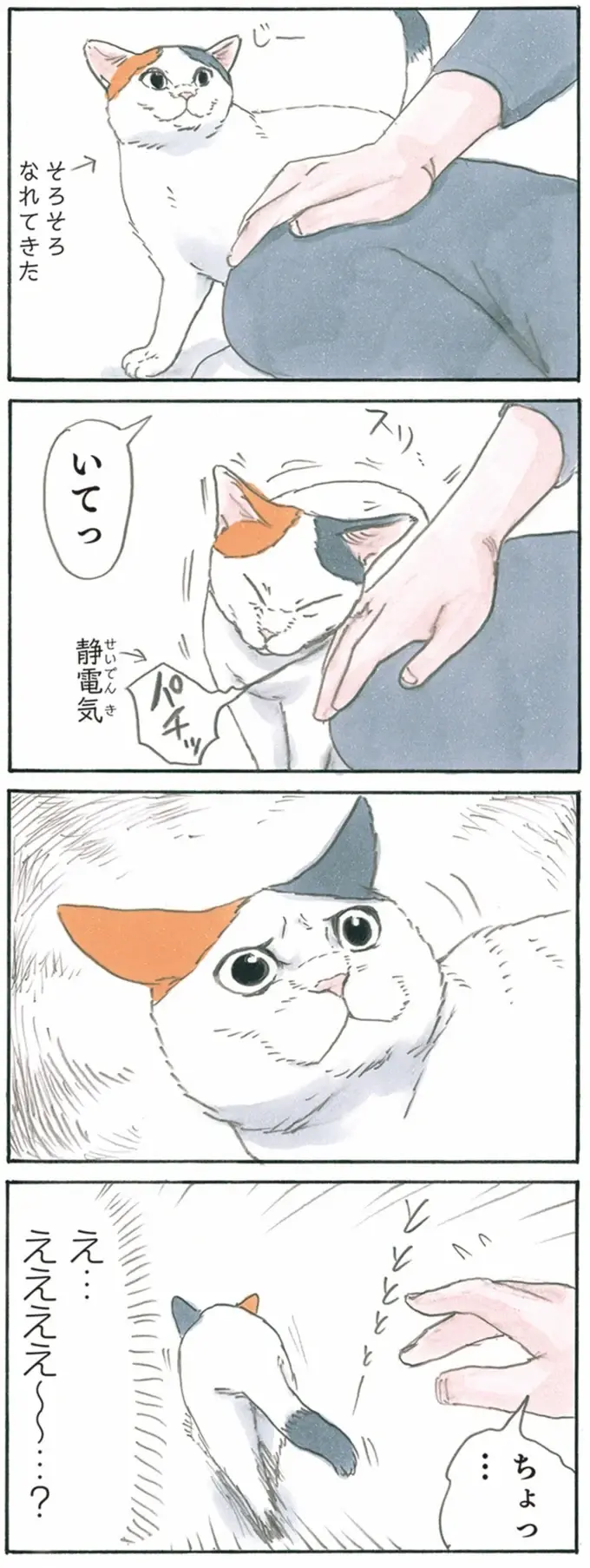 『拾い猫のモチャ1～8』（196）