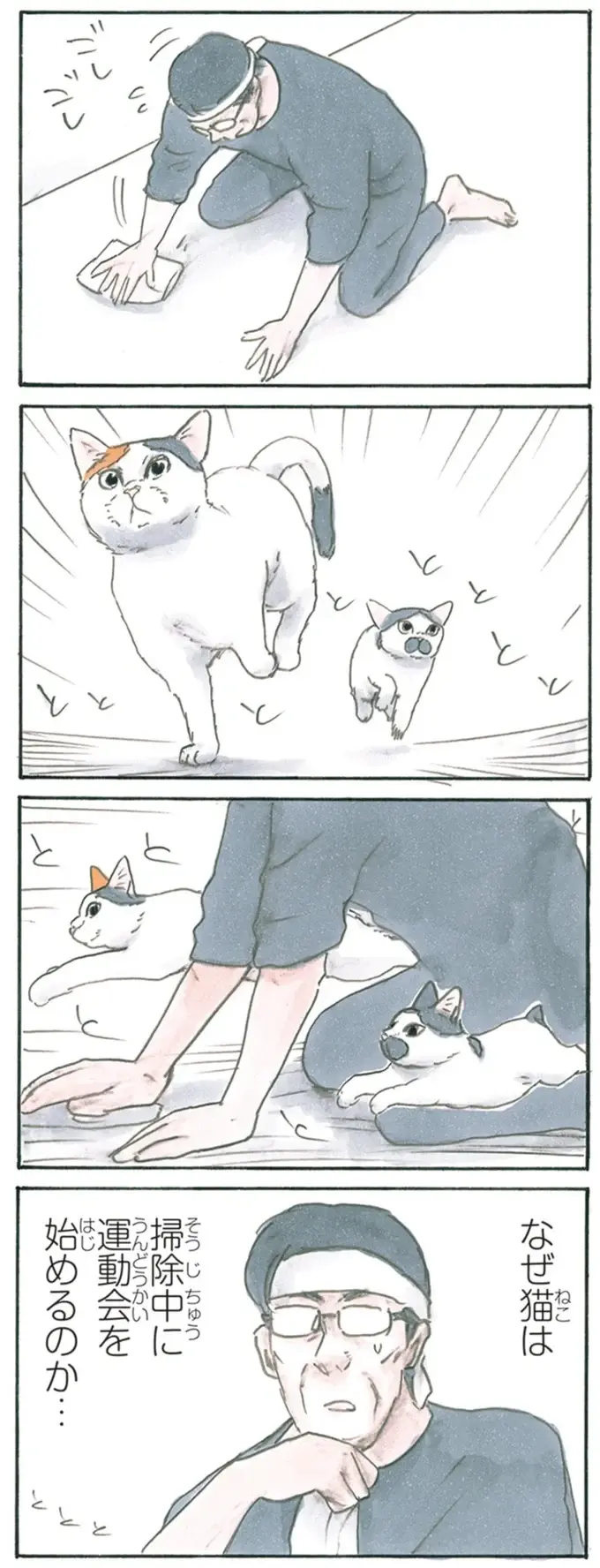 『拾い猫のモチャ1～8』（200）