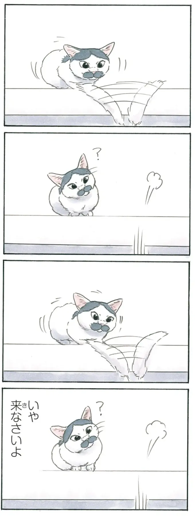 『拾い猫のモチャ1～8』（201）