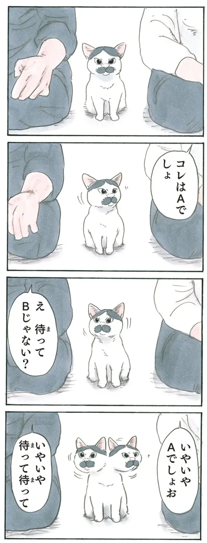 『拾い猫のモチャ1～8』（203）