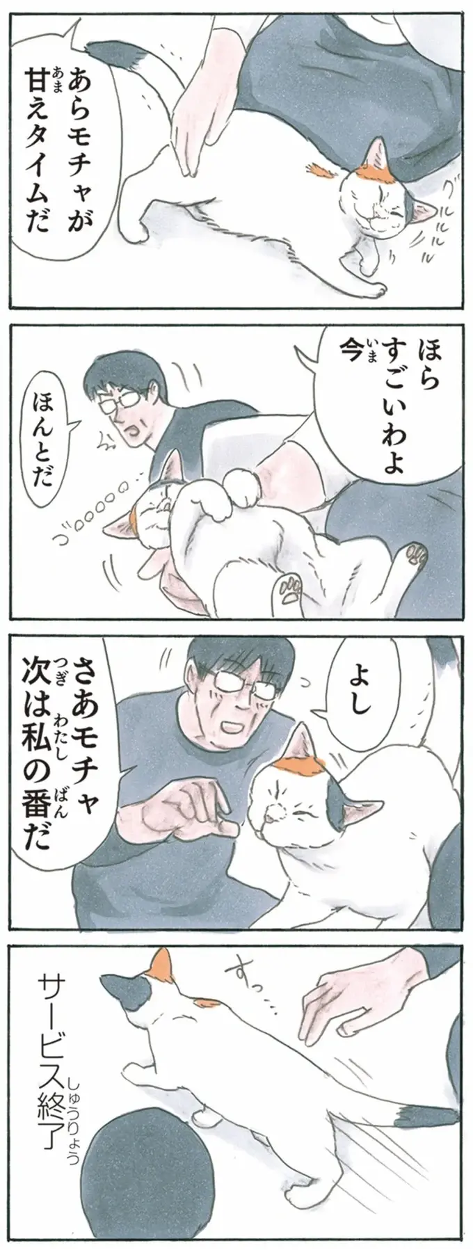 『拾い猫のモチャ1～8』（205）