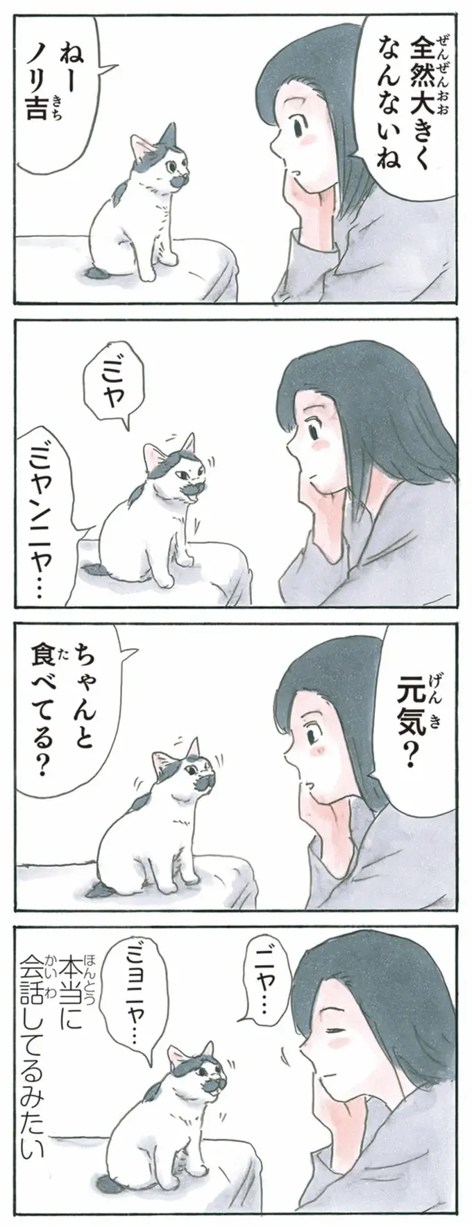 『拾い猫のモチャ1～8』（207）