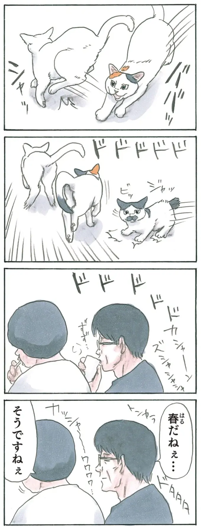 『拾い猫のモチャ1～8』（209）