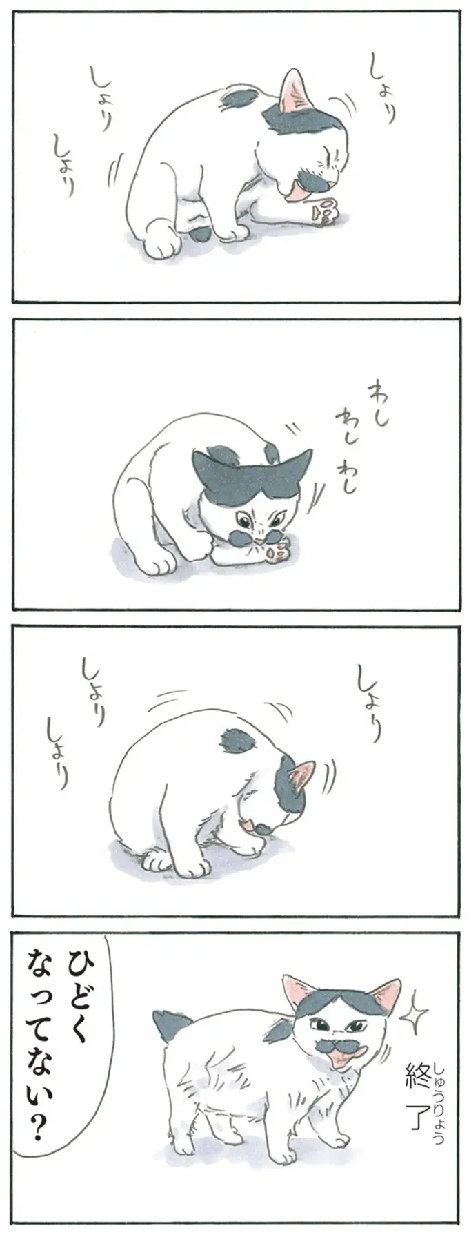 『拾い猫のモチャ1～8』（210）