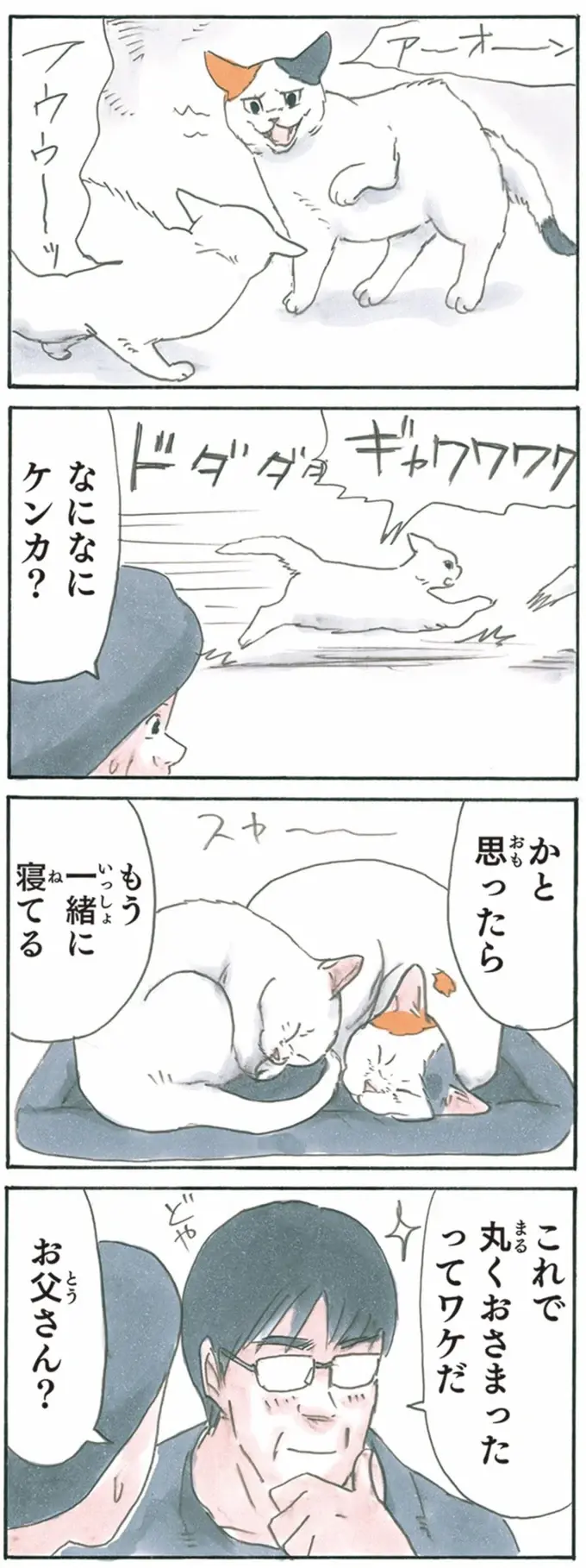『拾い猫のモチャ1～8』（212）