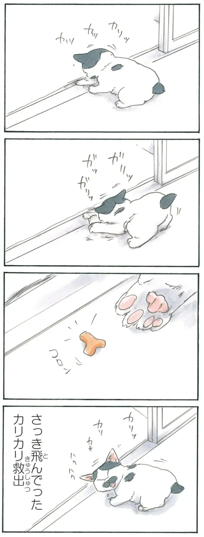 『拾い猫のモチャ1～8』（213）