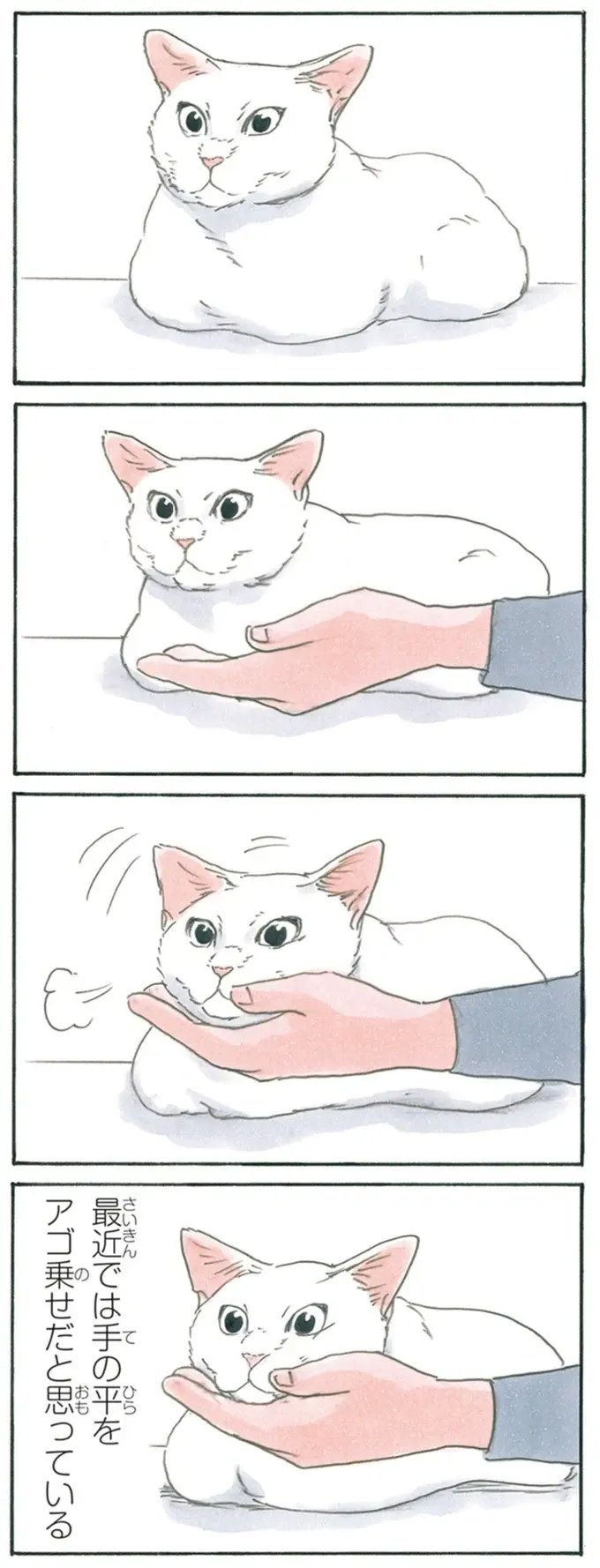 『拾い猫のモチャ1～8』（217）