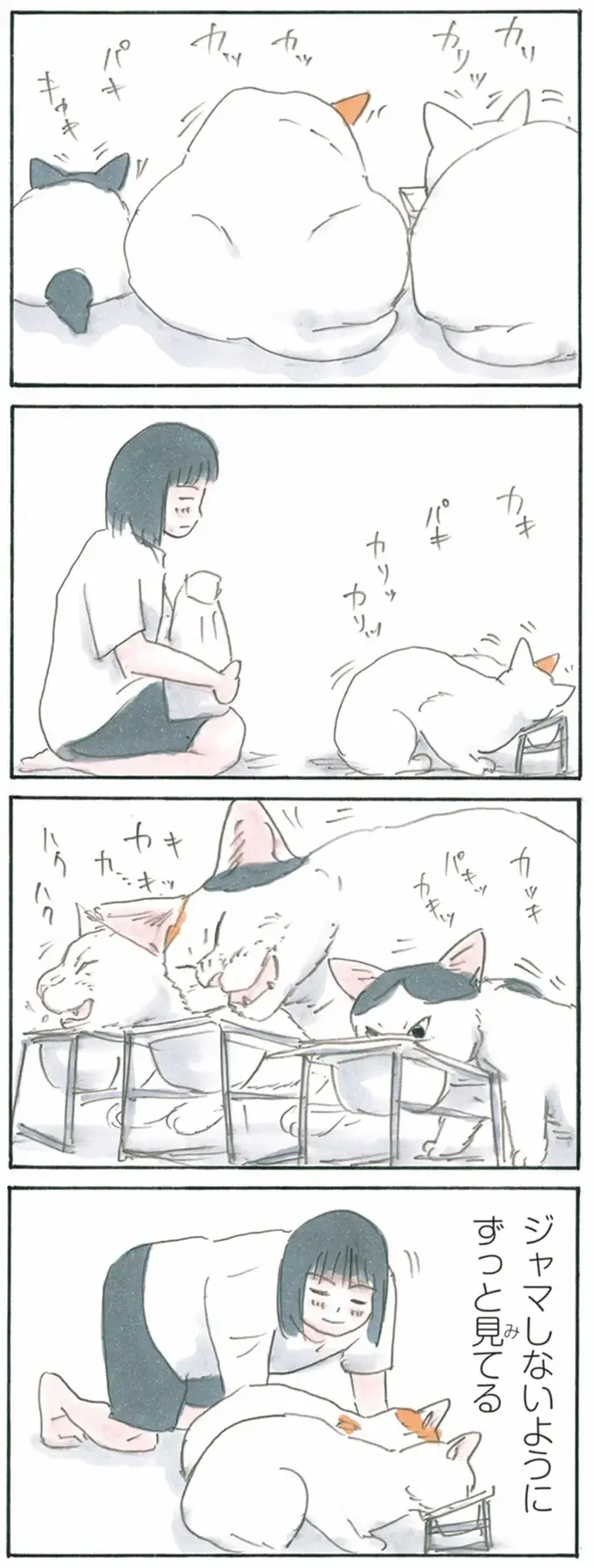 『拾い猫のモチャ1～8』（220）