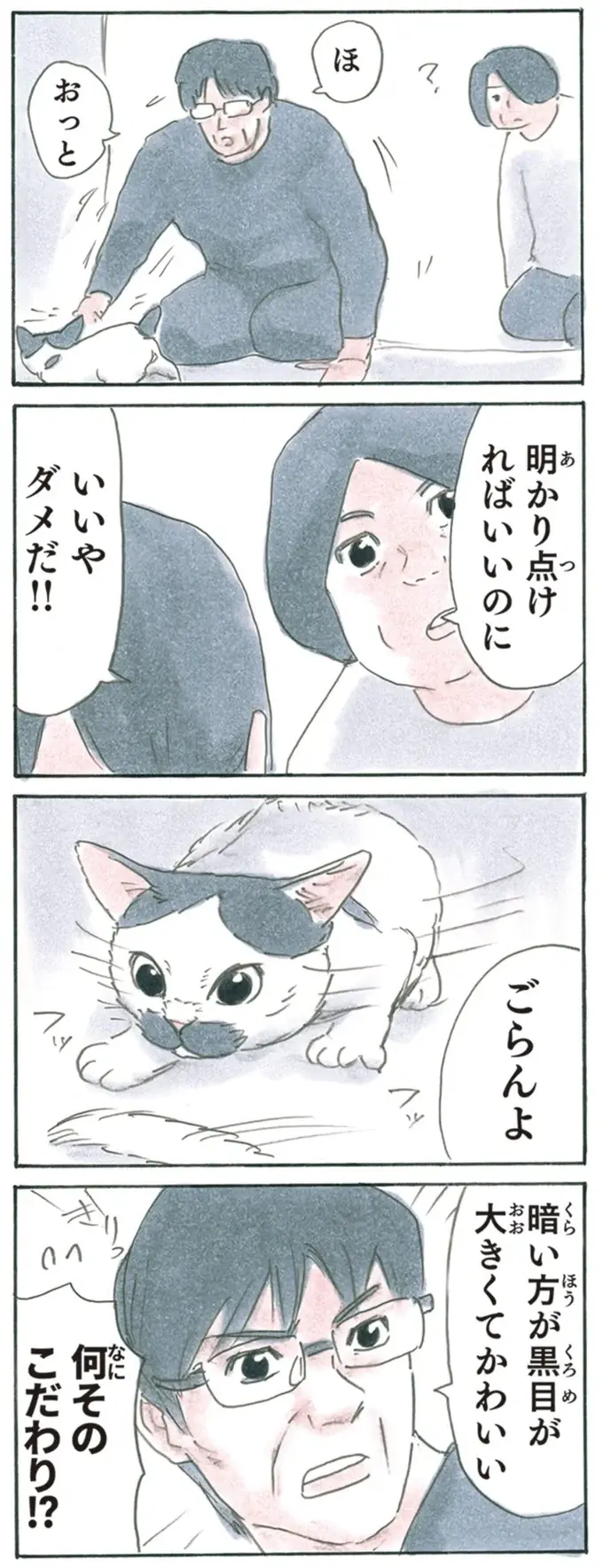『拾い猫のモチャ1～8』（221）