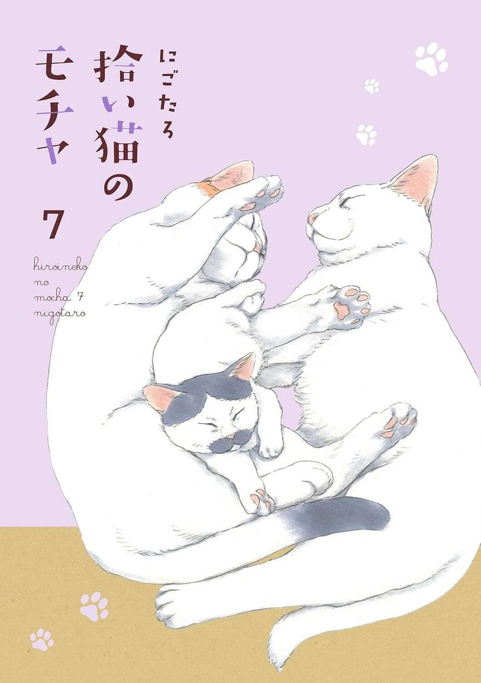 『拾い猫のモチャ1～8』（228）