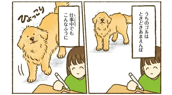 『今日もゴールデンレトリバーに癒されて』（3）