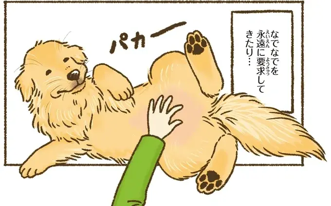 『今日もゴールデンレトリバーに癒されて』（6）