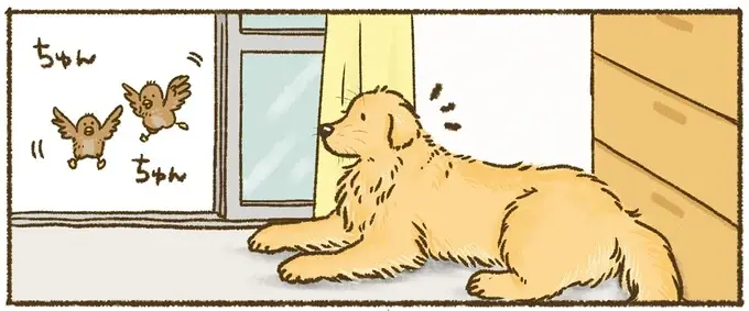 『今日もゴールデンレトリバーに癒されて』（11）