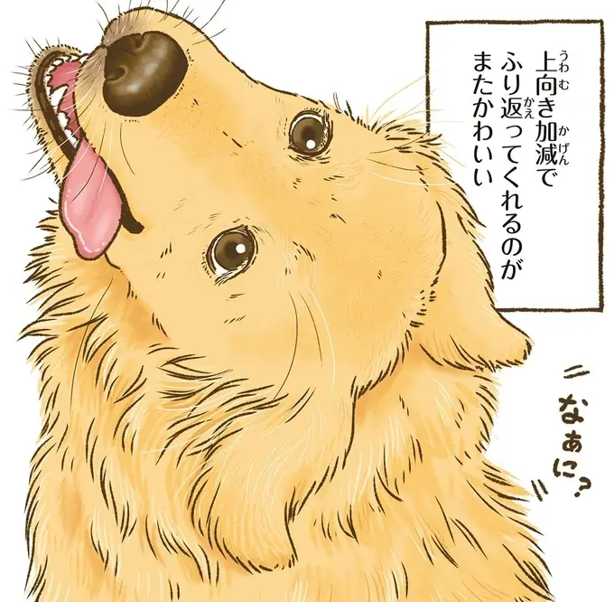 『今日もゴールデンレトリバーに癒されて』（14）