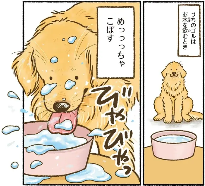 『今日もゴールデンレトリバーに癒されて』（15）