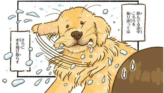 『今日もゴールデンレトリバーに癒されて』（16）