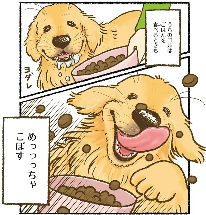 『今日もゴールデンレトリバーに癒されて』（18）