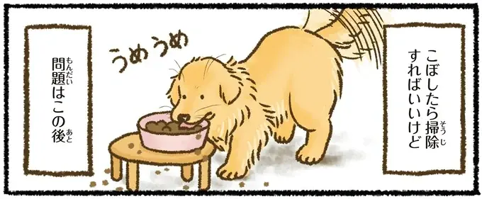 『今日もゴールデンレトリバーに癒されて』（19）