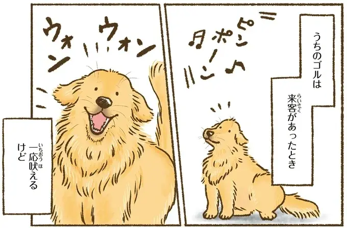 『今日もゴールデンレトリバーに癒されて』（22）