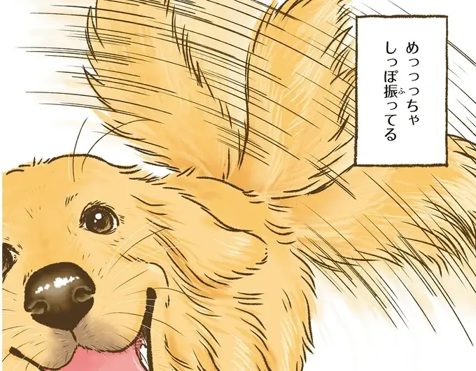 『今日もゴールデンレトリバーに癒されて』（23）